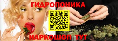 ECSTASY Малгобек