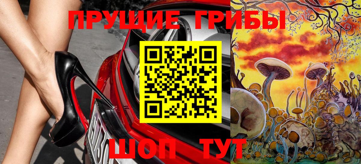 Псилоцибиновые грибы Psilocybe Ивантеевка